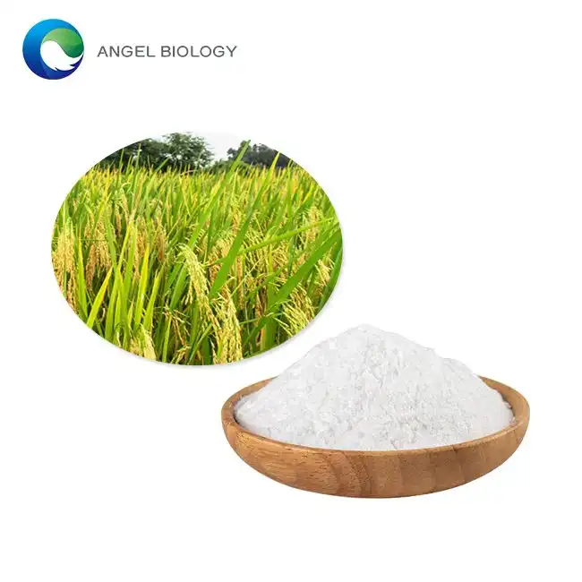 Unveiling the Power of Synthetic Ferulic Acid Powder in Anti-Aging